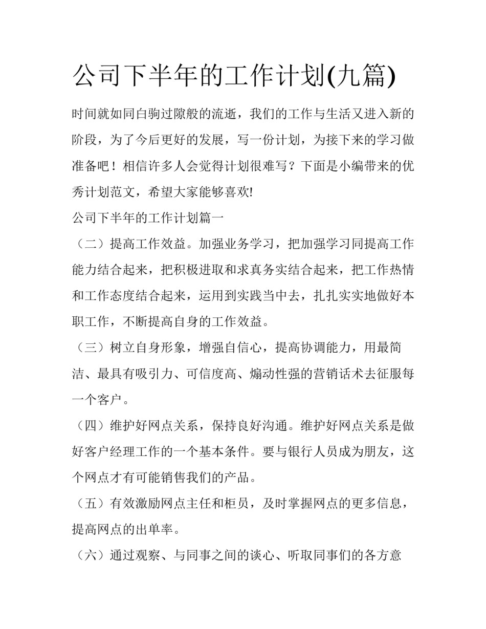 公司下半年的工作计划(九篇)_第1页