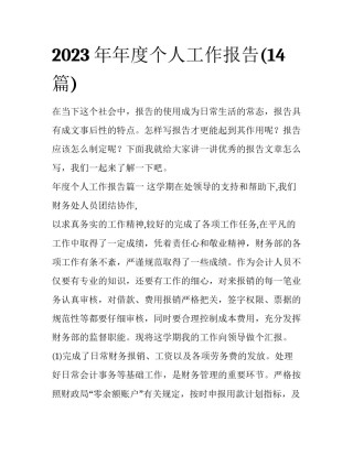 2023年年度个人工作报告(14篇)