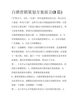 白酒营销策划方案前言(3篇)