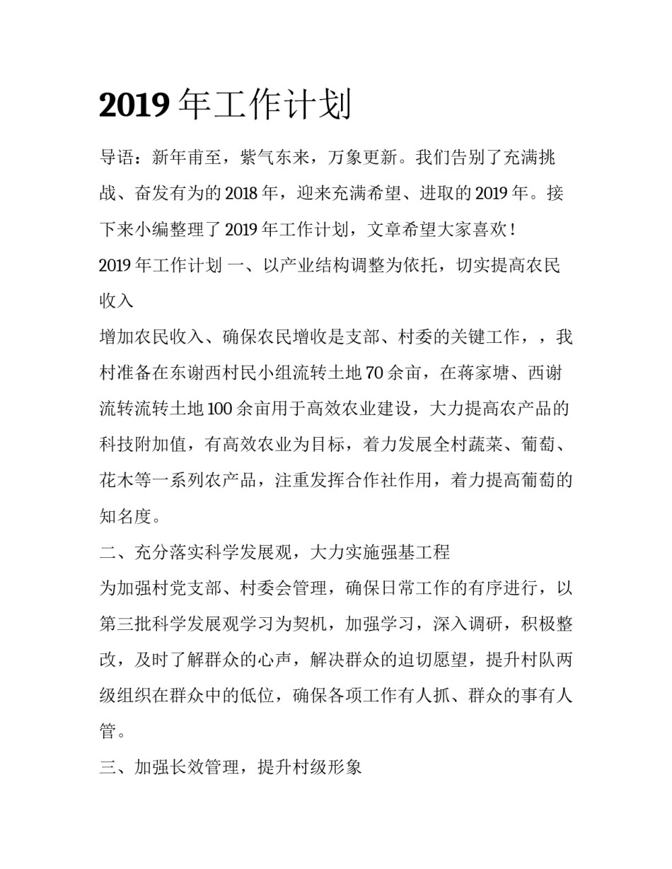 2019年工作计划_第1页