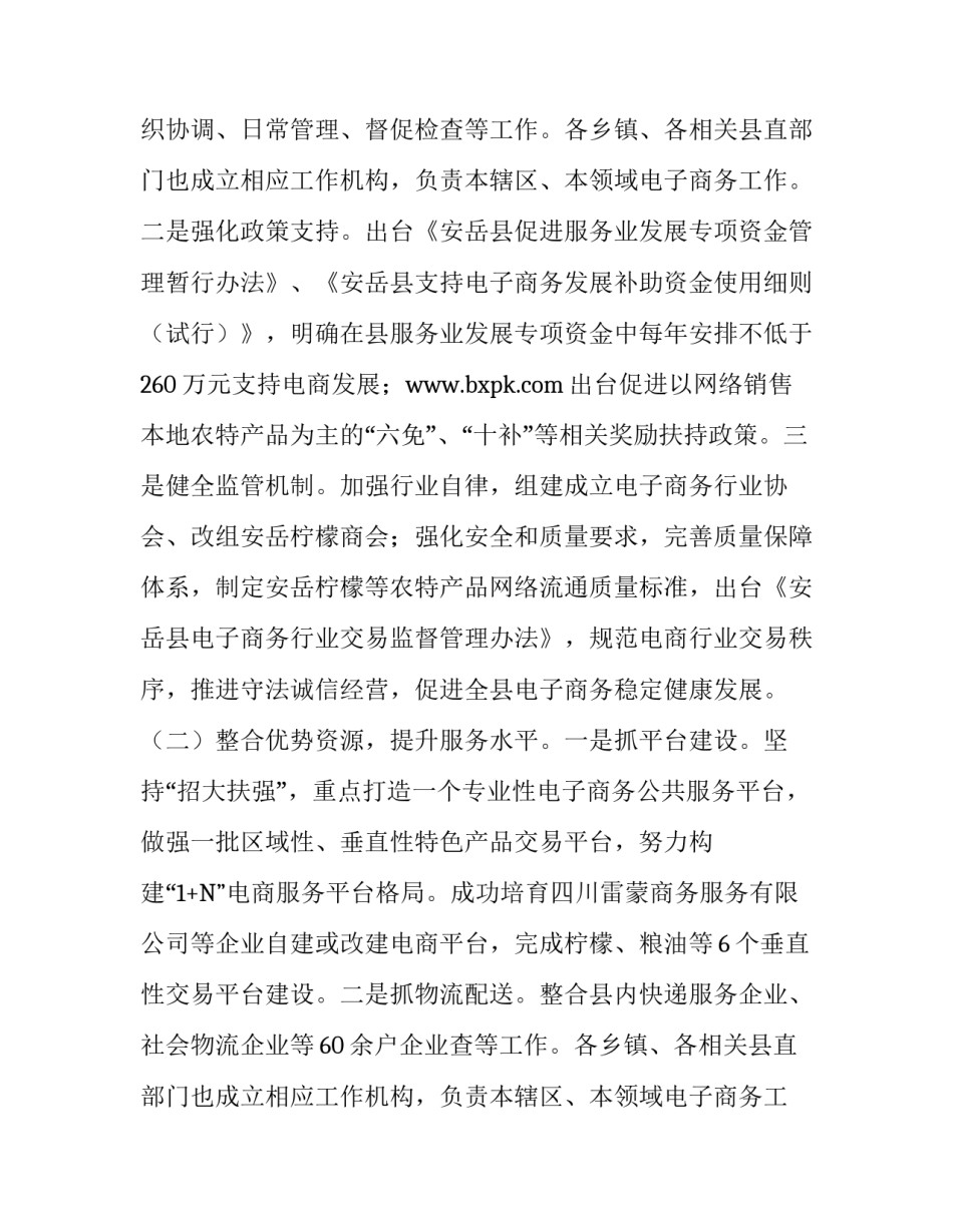 农村电子商务发展情况的调查报告范文_第2页