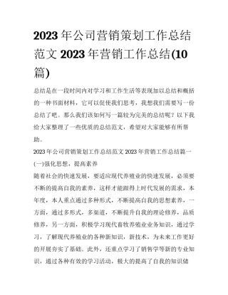 2023年公司营销策划工作总结范文 2023年营销工作总结(10篇)