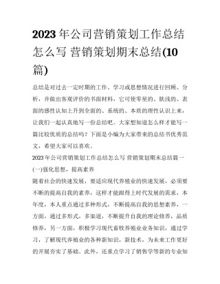 2023年公司营销策划工作总结怎么写 营销策划期末总结(10篇)