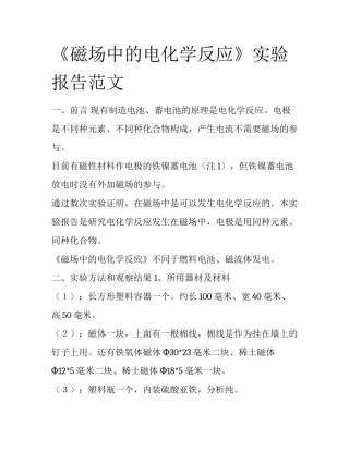 《磁场中的电化学反应》实验报告范文
