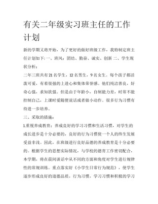 有关二年级实习班主任的工作计划