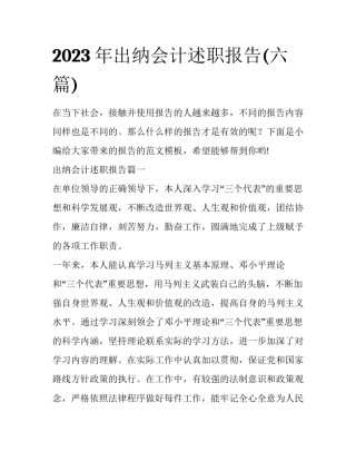 2023年出纳会计述职报告(六篇)