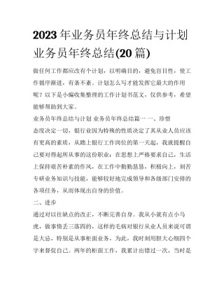2023年业务员年终总结与计划 业务员年终总结(20篇)