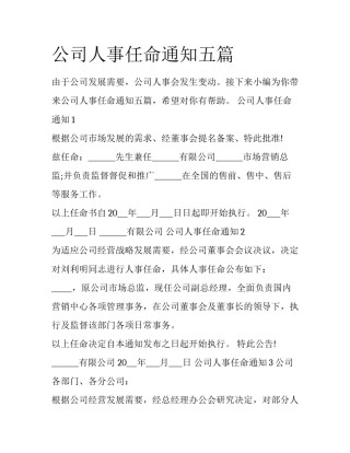 公司人事任命通知五篇