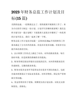 2023年财务总监工作计划及目标(15篇)