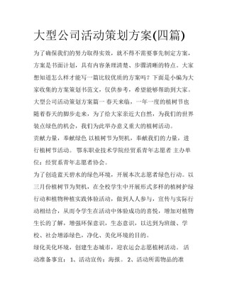 大型公司活动策划方案(四篇)