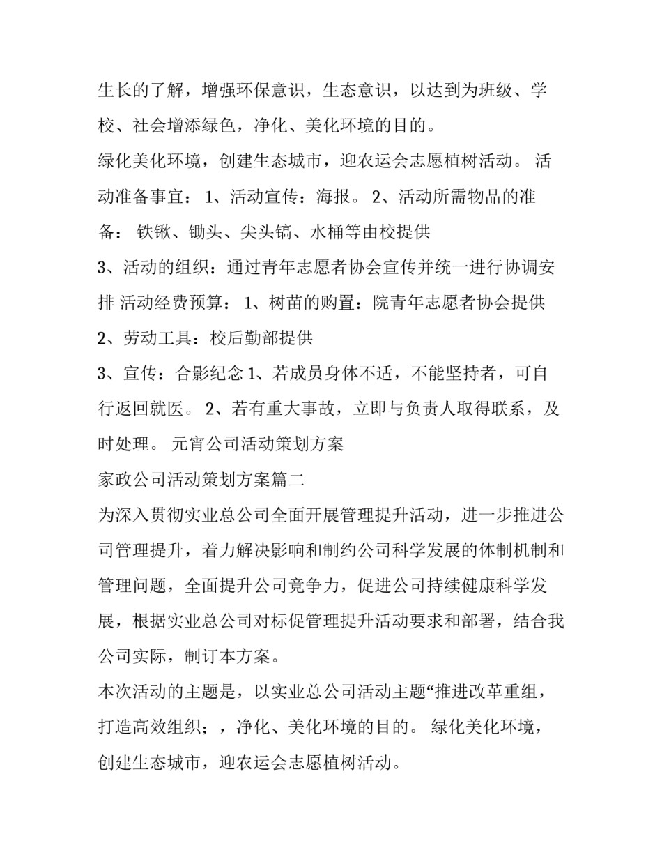 元宵公司活动策划方案 家政公司活动策划方案(四篇)_第2页