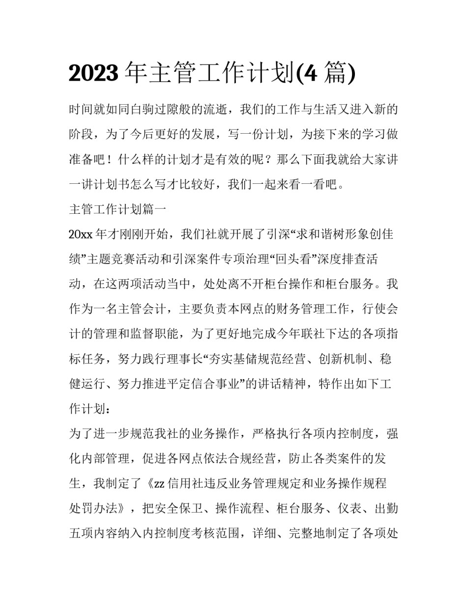 2023年主管工作计划(4篇)_第1页