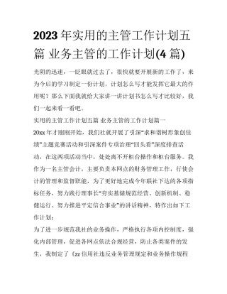 2023年实用的主管工作计划五篇 业务主管的工作计划(4篇)