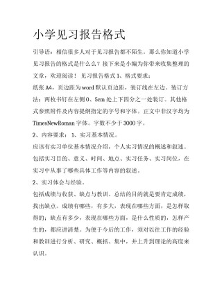 小学见习报告格式