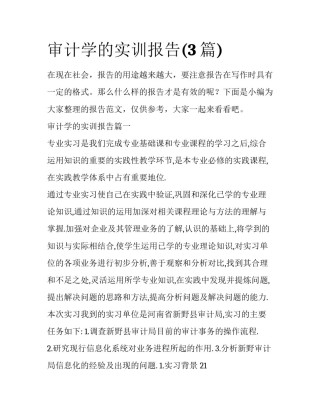 审计学的实训报告(3篇)