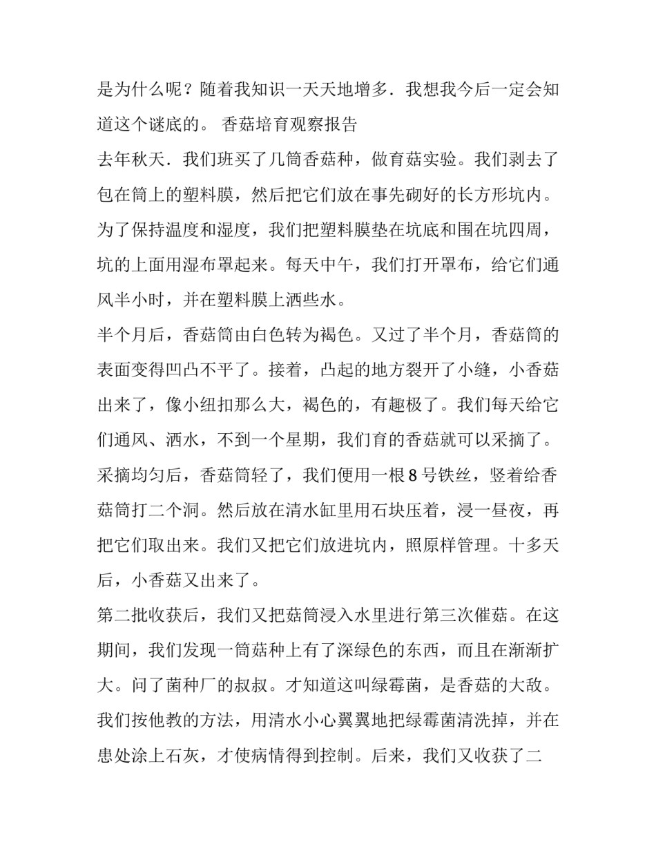 小学生的实验报告_第3页