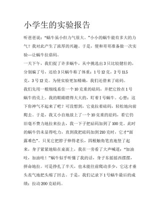 小学生的实验报告