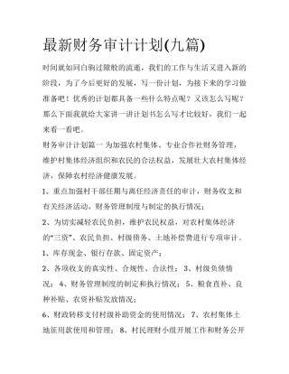 最新财务审计计划(九篇)