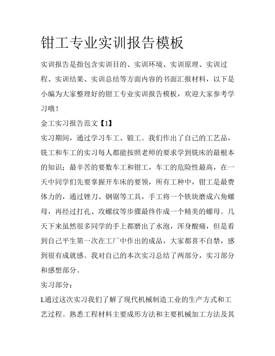 钳工专业实训报告模板_第1页