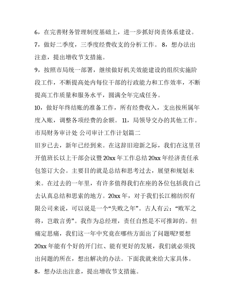 最新公司审计工作计划(实用12篇)_第2页