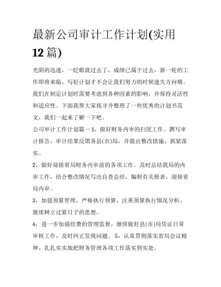 最新公司审计工作计划(实用12篇)