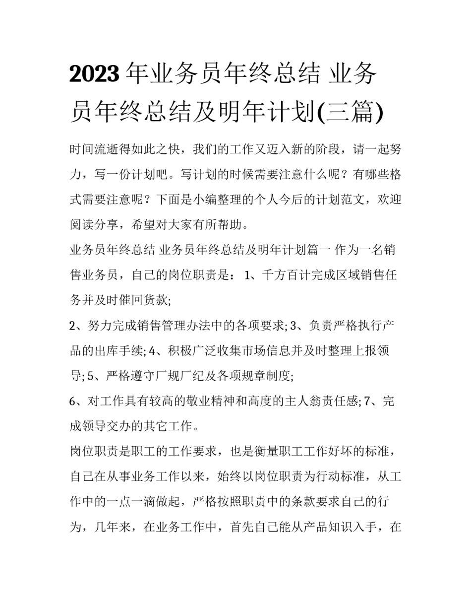 2023年业务员年终总结 业务员年终总结及明年计划(三篇)_第1页