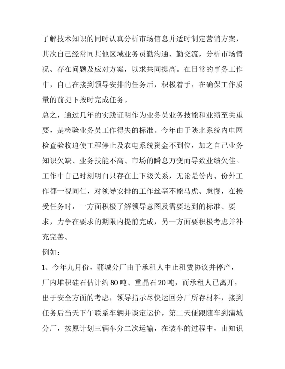 2023年业务员年终总结 业务员年终总结及明年计划(三篇)_第2页