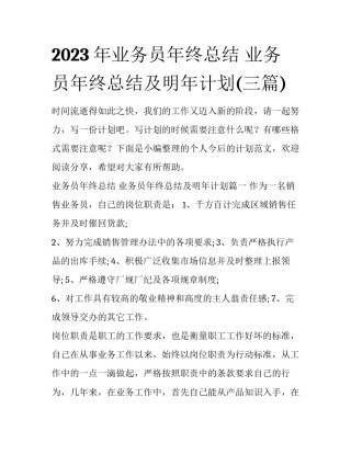 2023年业务员年终总结 业务员年终总结及明年计划(三篇)