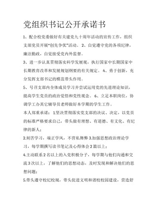 党组织书记公开承诺书