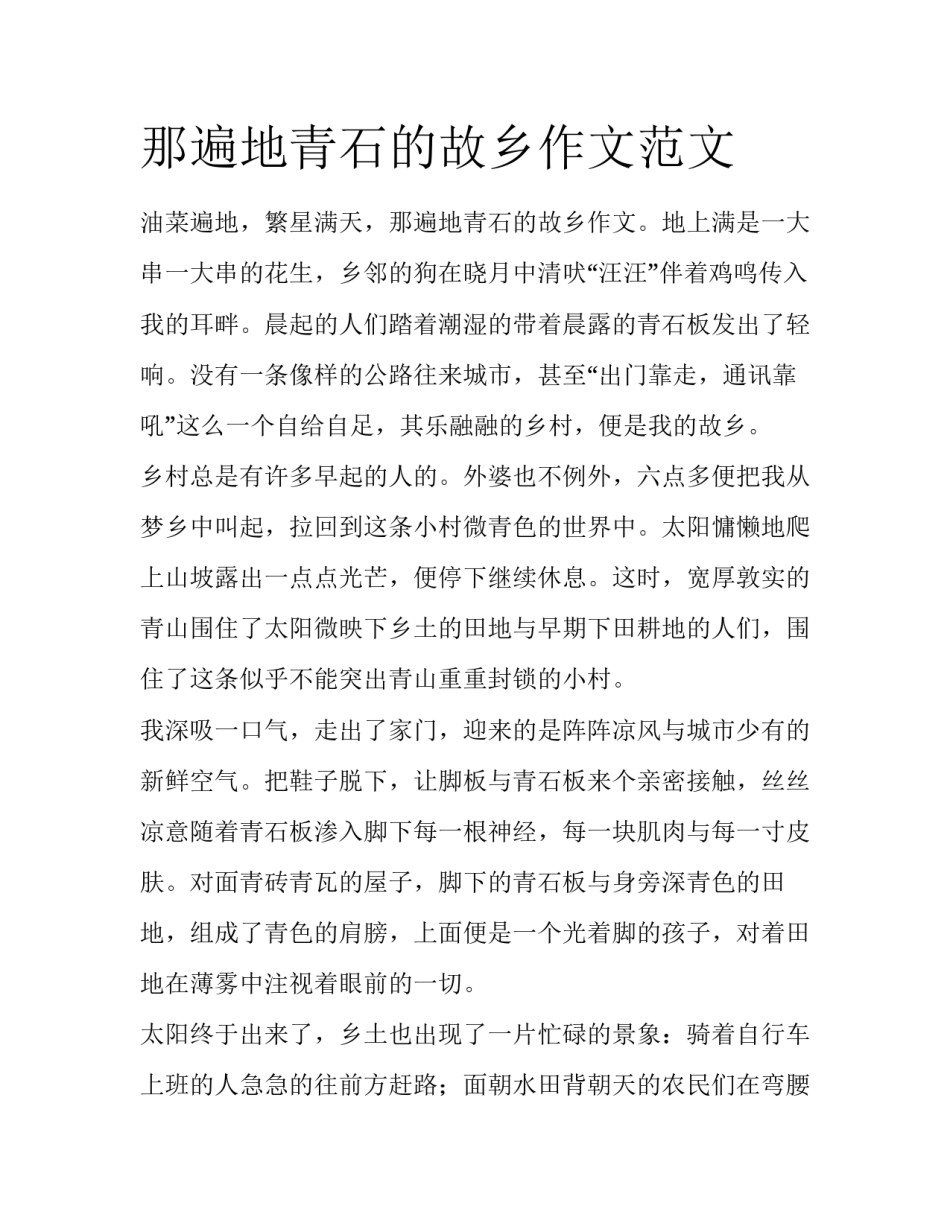 那遍地青石的故乡作文范文_第1页