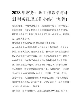 2023年财务经理工作总结与计划 财务经理工作小结(十九篇)