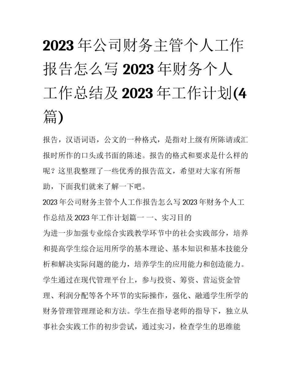 2023年公司财务主管个人工作报告怎么写 2023年财务个人工作总结及2023年工作计划(4篇)_第1页