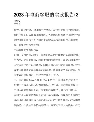2023年电商客服的实践报告(3篇)