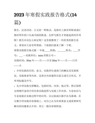2023年寒假实践报告格式(14篇)