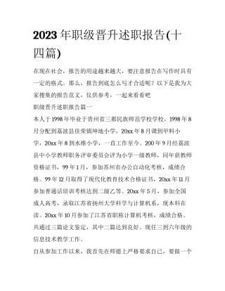 2023年职级晋升述职报告(十四篇)