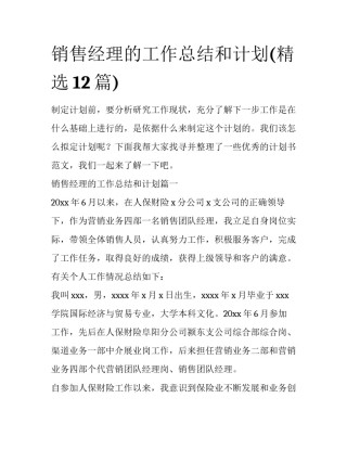 销售经理的工作总结和计划(精选12篇)