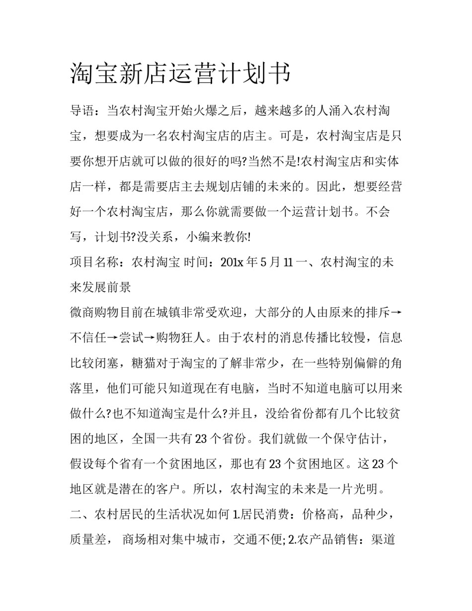 淘宝新店运营计划书_第1页
