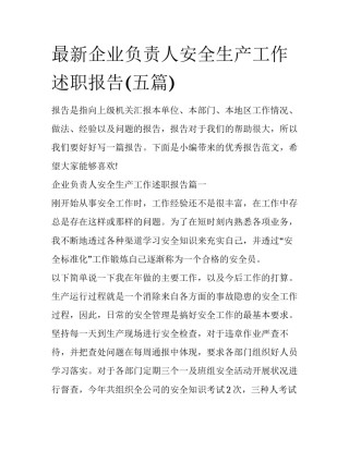 最新企业负责人安全生产工作述职报告(五篇)
