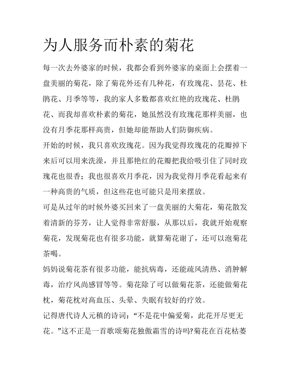 为人服务而朴素的菊花_第1页