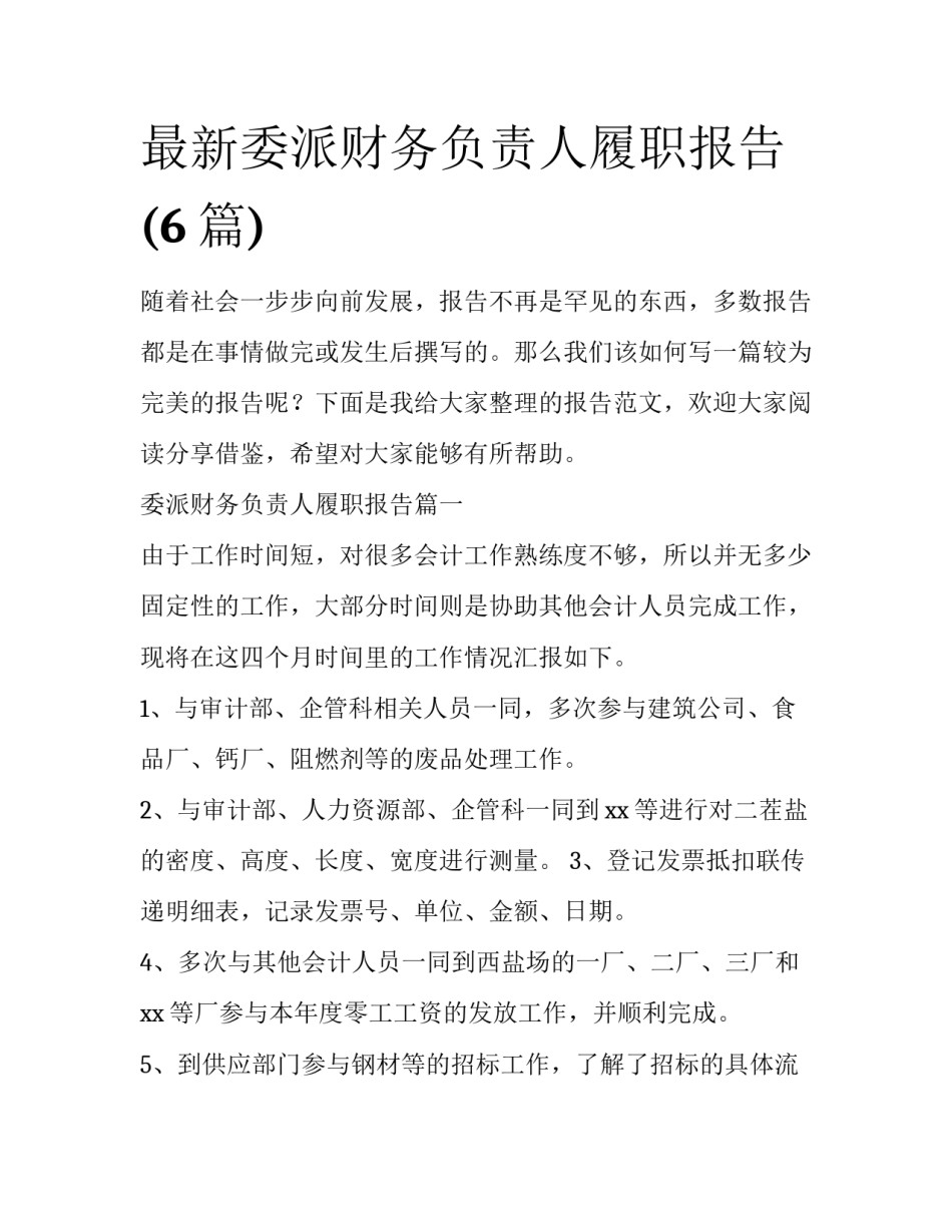 最新委派财务负责人履职报告(6篇)_第1页