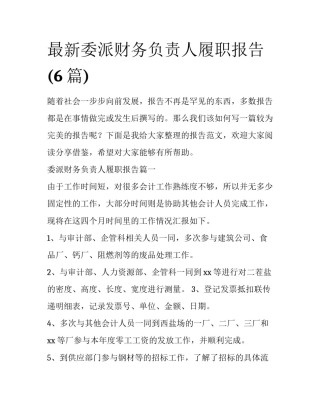 最新委派财务负责人履职报告(6篇)