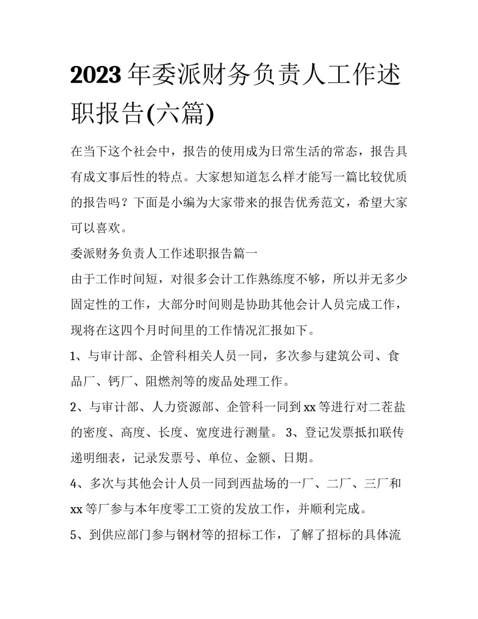 2023年委派财务负责人工作述职报告(六篇)_第1页