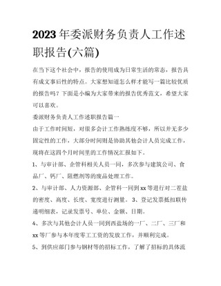 2023年委派财务负责人工作述职报告(六篇)