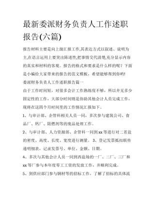 最新委派财务负责人工作述职报告(六篇)