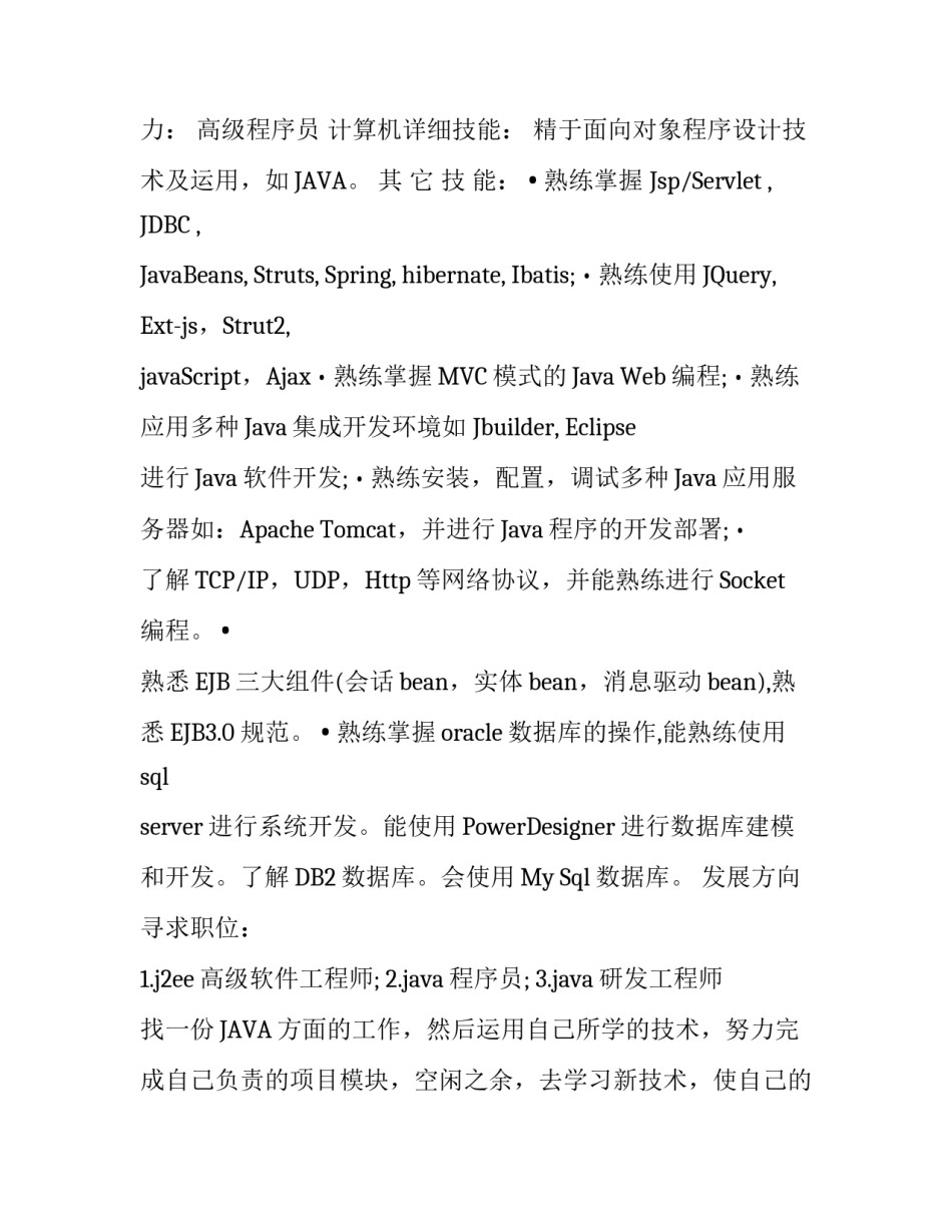 计算机IT类的工作简历模板_第2页