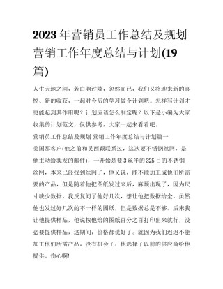 2023年营销员工作总结及规划 营销工作年度总结与计划(19篇)