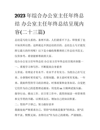 2023年综合办公室主任年终总结 办公室主任年终总结呈现内容(二十三篇)