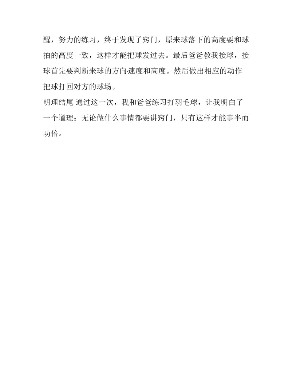 关于打羽毛球的小学生记事作文450字_第一次学打羽毛球_第2页