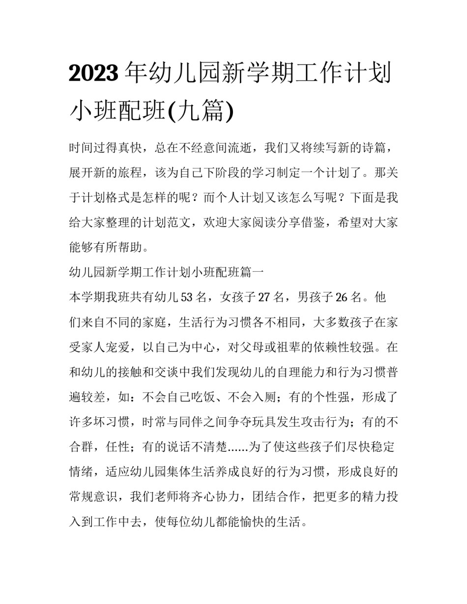 2023年幼儿园新学期工作计划小班配班(九篇)_第1页
