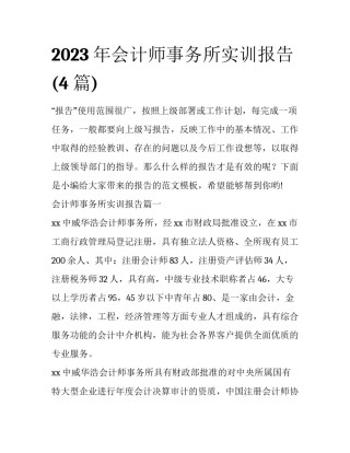 2023年会计师事务所实训报告(4篇)
